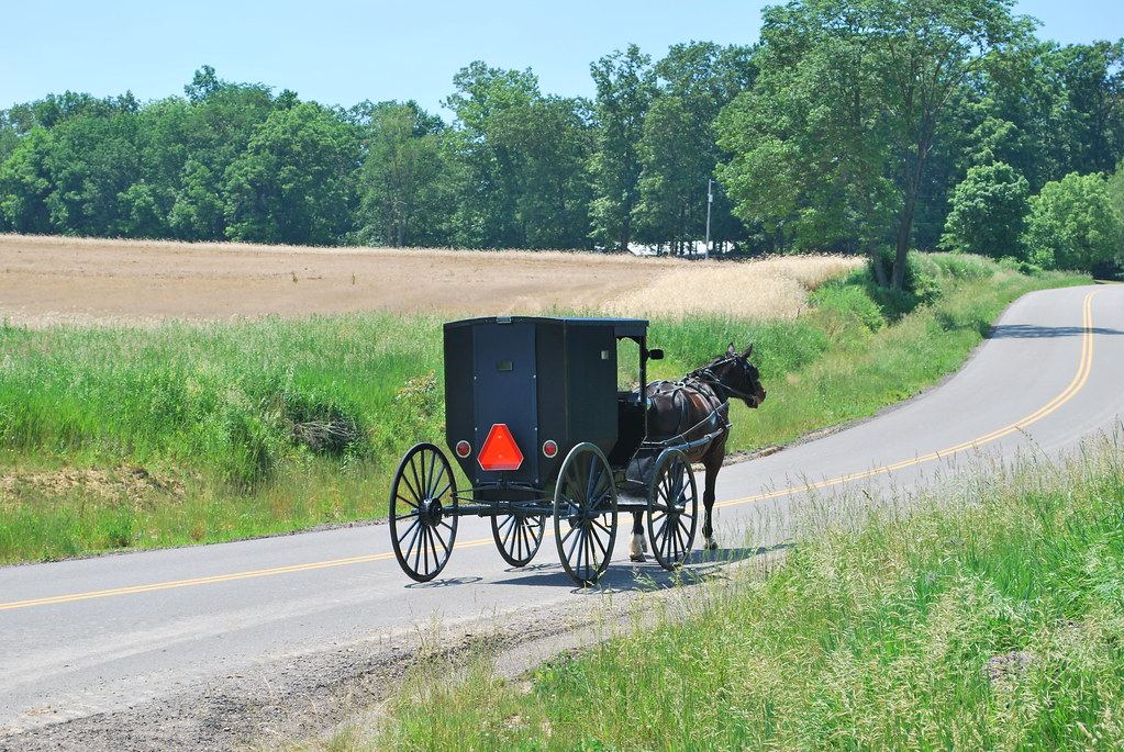 Amish buggy on a road in Ohio Amish country