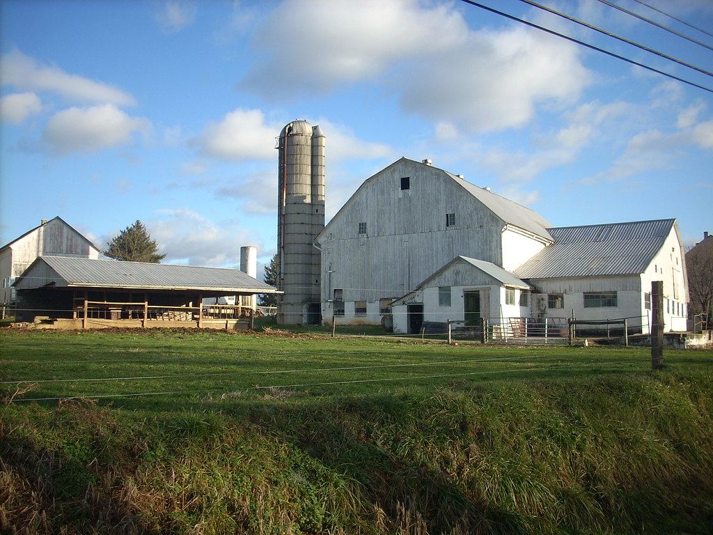 White Amish barn and silo